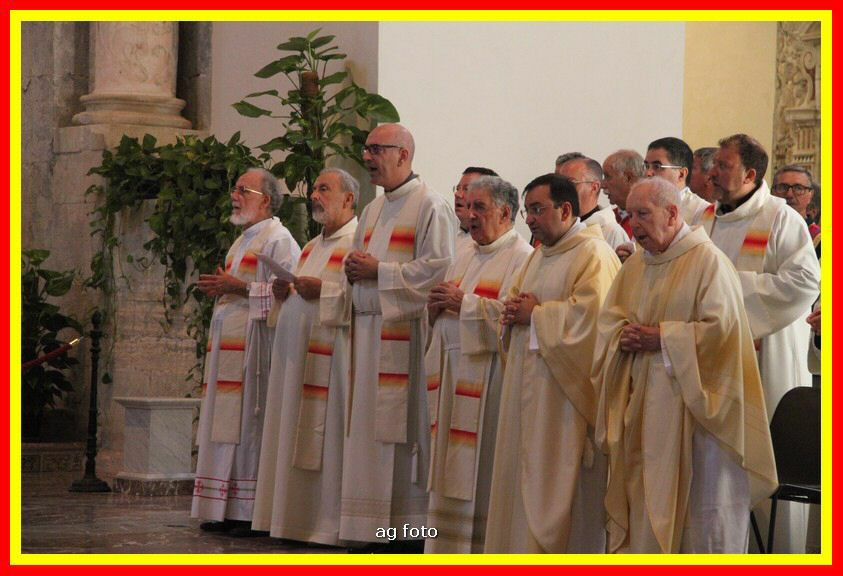 180806 Pontificale 099_tn_tm.jpg